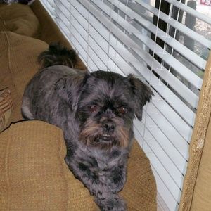 Meet your Posher, Vicky